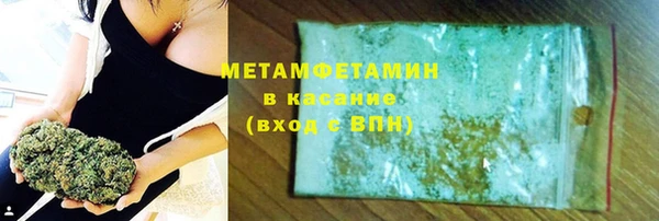 шишки Болотное
