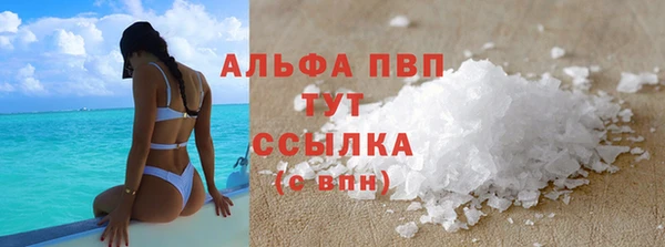 шишки Болотное