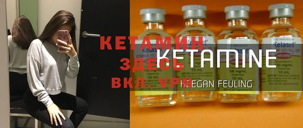 шишки Болотное