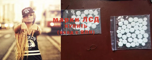 соль ск Новодвинск