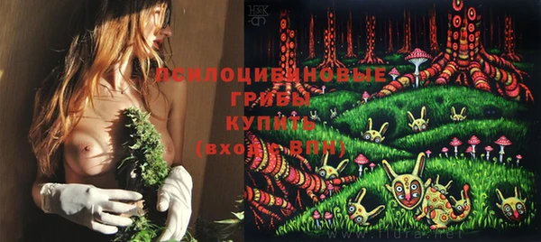 PSILOCYBIN Новозыбков