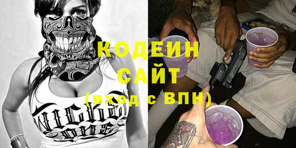 шишки Болотное
