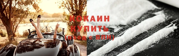 прущие грибы Няндома