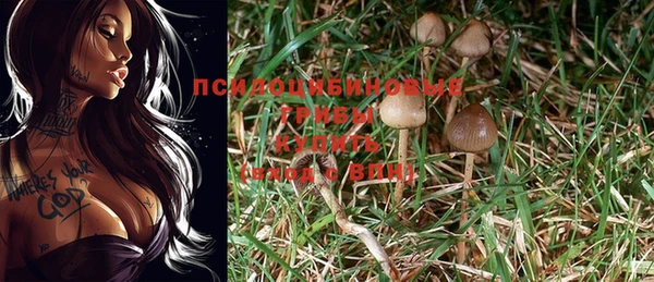 гашишное масло Новокубанск